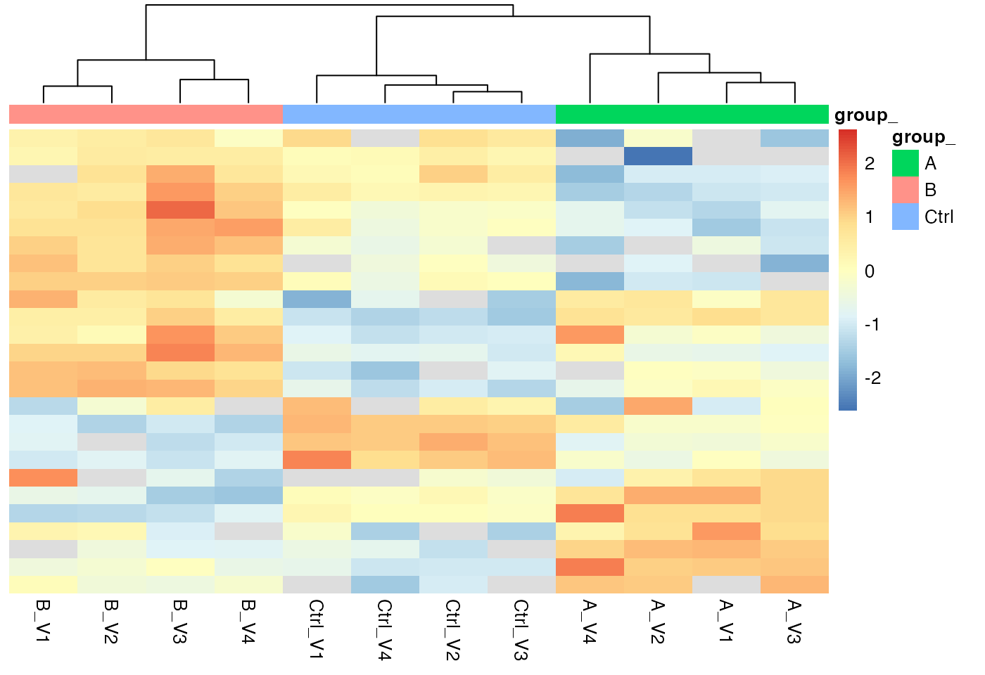 Heatmap, Rows - proteins, Columns - samples